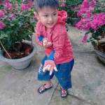 Dung Mai Profile Picture