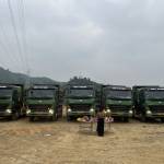 Hoang Son Le Profile Picture