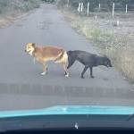 Nguyên Nguyên Profile Picture