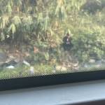 Bluesky238 Profile Picture