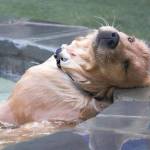 HOANG TUAN Profile Picture