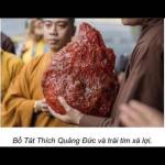 De Dam Profile Picture