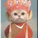 Eryk Nguyễn Profile Picture