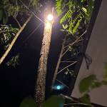 Quang Nguyễn Profile Picture