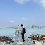 dong tran Profile Picture