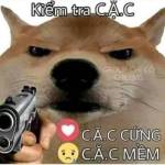 Binhta Binh Profile Picture