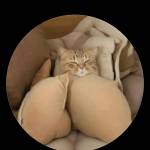 Hoai Tran Profile Picture