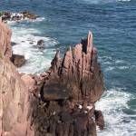 yocimaro Profile Picture