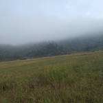 Vailozn Profile Picture