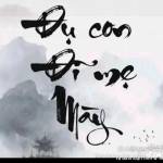 Luân Nguyễn Profile Picture