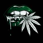 lux nguyen Profile Picture