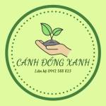 song nghi can tho Profile Picture