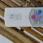 San Thanhsan Profile Picture