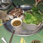 Út Nguyễn Profile Picture