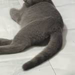 Trung Nguyen Profile Picture