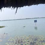 Cuto99 Profile Picture