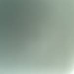 Vu Ho Profile Picture