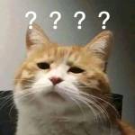 Wuyn Profile Picture