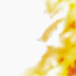 Kim Hang Profile Picture