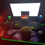 LE VAN TAM Lê Profile Picture