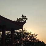 Poppy08 Profile Picture