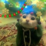 Nguyễn Kỷ Profile Picture