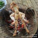 khang Nguyễn Profile Picture