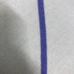 tran mr Profile Picture