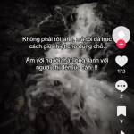 Hóa Trần Profile Picture