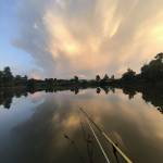 Triem Ne Profile Picture