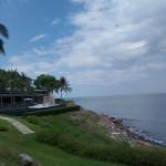 Along Pham Profile Picture