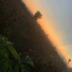 Giang Do Profile Picture