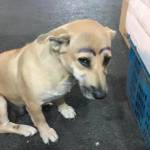 Trần Nam Profile Picture