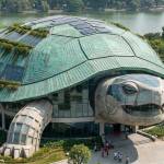 hà đỗ Profile Picture