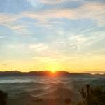 Nâuuuu Đ Profile Picture