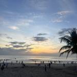 Kin Kin Profile Picture