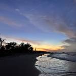 tvv29999 Profile Picture