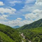 Cac liet Profile Picture