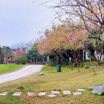 Tuan Truong Profile Picture