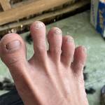 Nhi Dang Profile Picture