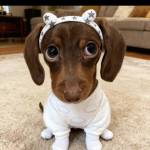 Thanhtayga Profile Picture