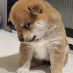 Mía Mía Profile Picture