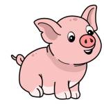 Thien Chi Profile Picture