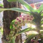 Tuan Tran Profile Picture