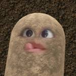 Tuấn Phạm Profile Picture