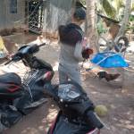 Dung Nguyen Profile Picture