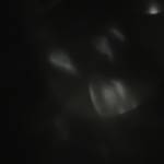 Lê Bảo Profile Picture