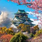 Hieu Nguyen Profile Picture