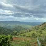 Tien Le Profile Picture