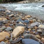 Tien Tien Profile Picture